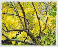 Feuillage jaune et tronc noir