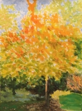 Le cerisier en octobre
