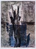 Ecorce et plumes