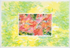 Red and Yellow Foliage, no 1
