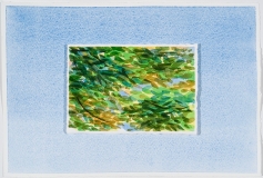 Small Foliage on Sky