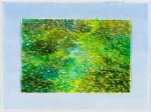 Foliage on Sky