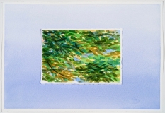Petit feuillage sur ciel
