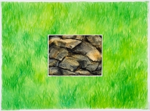 Roches sur herbe droite