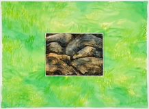 Roches sur herbe aqueuse