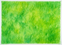 Herbe en plein soleil