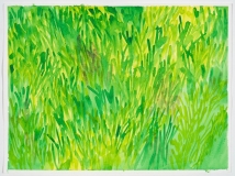 Herbe légère