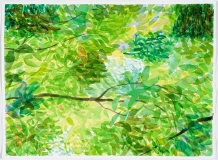 Branch and Foliage, July
