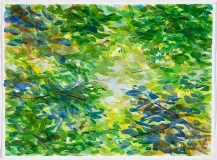 Foliage in Disarray