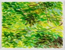 Feuillage,été, #2