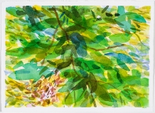 Petite branche et feuillage, no 4