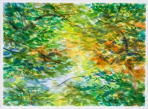 Orange au mois d'août