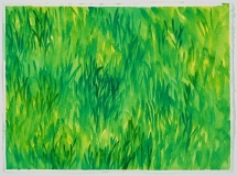 Herbe droite