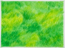Herbe musicale