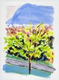 Spring near Mont Saint-Hilaire