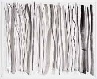 Arbres, hiver