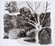 Cerisier et arbustes en hiver