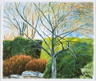 Novembre Afternoon, no 5